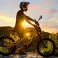 Surron Light Bee X Electric Bike - Off-road 60V 38.5Ah Battery Peak Power 6000W Top Torque 250N.m 120km Mileage